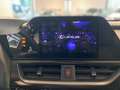 Lexus UX 250h UX 250 h Style Edition KAMERA SHZ LED Argent - thumbnail 13