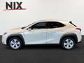 Lexus UX 250h UX 250 h Style Edition KAMERA SHZ LED Argent - thumbnail 6