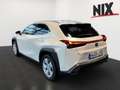 Lexus UX 250h UX 250 h Style Edition KAMERA SHZ LED Argent - thumbnail 5