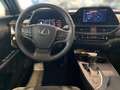 Lexus UX 250h UX 250 h Style Edition KAMERA SHZ LED Argent - thumbnail 11