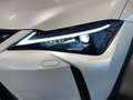 Lexus UX 250h UX 250 h Style Edition KAMERA SHZ LED Argent - thumbnail 7