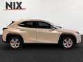 Lexus UX 250h UX 250 h Style Edition KAMERA SHZ LED Argent - thumbnail 3