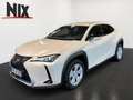 Lexus UX 250h UX 250 h Style Edition KAMERA SHZ LED Argent - thumbnail 1
