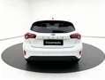 Ford Focus 1.5 Ecoblue Trend+ 120 Aut. Blanc - thumbnail 4