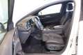 Opel Insignia B 2.0 CDTI OPC Line BOSE+KEY+KAM+AHK Weiß - thumbnail 12