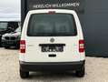 Volkswagen Caddy TDI Kastenwagen*Pickerl NEU 02/2027*Bestpreis* Weiß - thumbnail 5