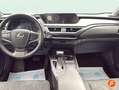 Lexus UX 250h 2.0 Business Gris - thumbnail 12