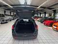 Kia Ceed SW / cee'd SW Sportswagon Dream Team 1.6 GDI +Scheckheftgepflegt Negro - thumbnail 15