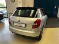 Skoda Fabia Fabia 1.2 TSI 86CV 5p. Monte-Carlo Grigio - thumbnail 5