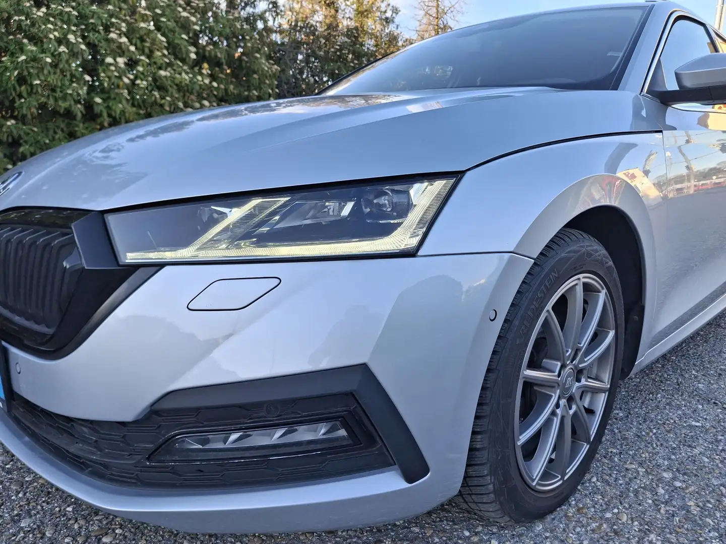 Skoda Octavia FirstEdition ALCANTARA/CAM/ACC/AHK ServiceKomplett Grau - 1