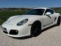 Porsche Cayman Cayman S 3.4i 320 Blanco - thumbnail 1