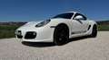 Porsche Cayman Cayman S 3.4i 320 Blanco - thumbnail 29