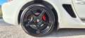 Porsche Cayman Cayman S 3.4i 320 Blanco - thumbnail 26