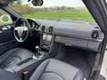 Porsche Cayman Cayman S 3.4i 320 Blanco - thumbnail 15