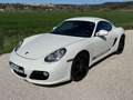 Porsche Cayman Cayman S 3.4i 320 Blanco - thumbnail 28
