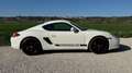 Porsche Cayman Cayman S 3.4i 320 Blanco - thumbnail 7