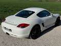 Porsche Cayman Cayman S 3.4i 320 Blanco - thumbnail 6