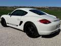 Porsche Cayman Cayman S 3.4i 320 Blanco - thumbnail 4