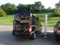 Ford Transit 350 L2 H2 Trend Kamera AHK Dienstwagen von Ford Schwarz - thumbnail 5