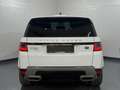 Land Rover Range Rover Sport 3,0 TDV6 SE Aut. Bianco - thumbnail 11