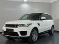 Land Rover Range Rover Sport 3,0 TDV6 SE Aut. Bianco - thumbnail 1