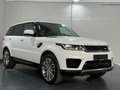 Land Rover Range Rover Sport 3,0 TDV6 SE Aut. Bianco - thumbnail 5
