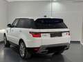 Land Rover Range Rover Sport 3,0 TDV6 SE Aut. Bianco - thumbnail 12