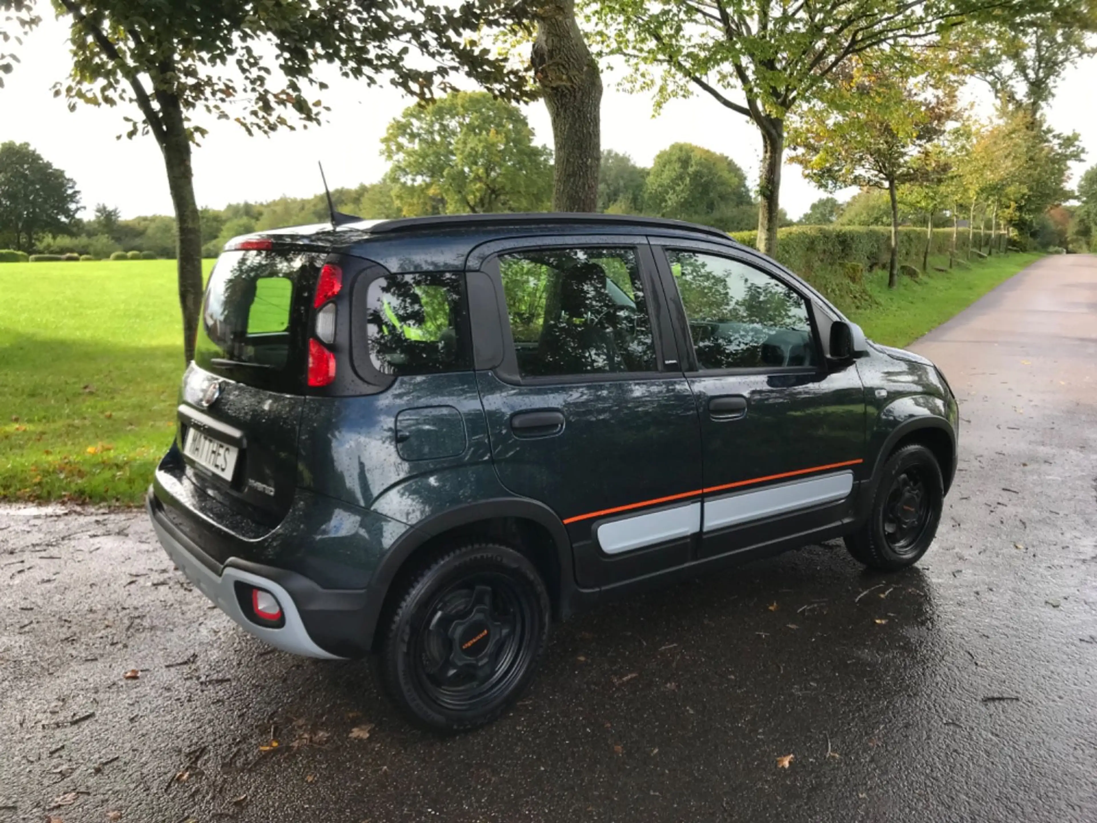 Fiat Panda Cross, Sondermodell Garmin — photo 2