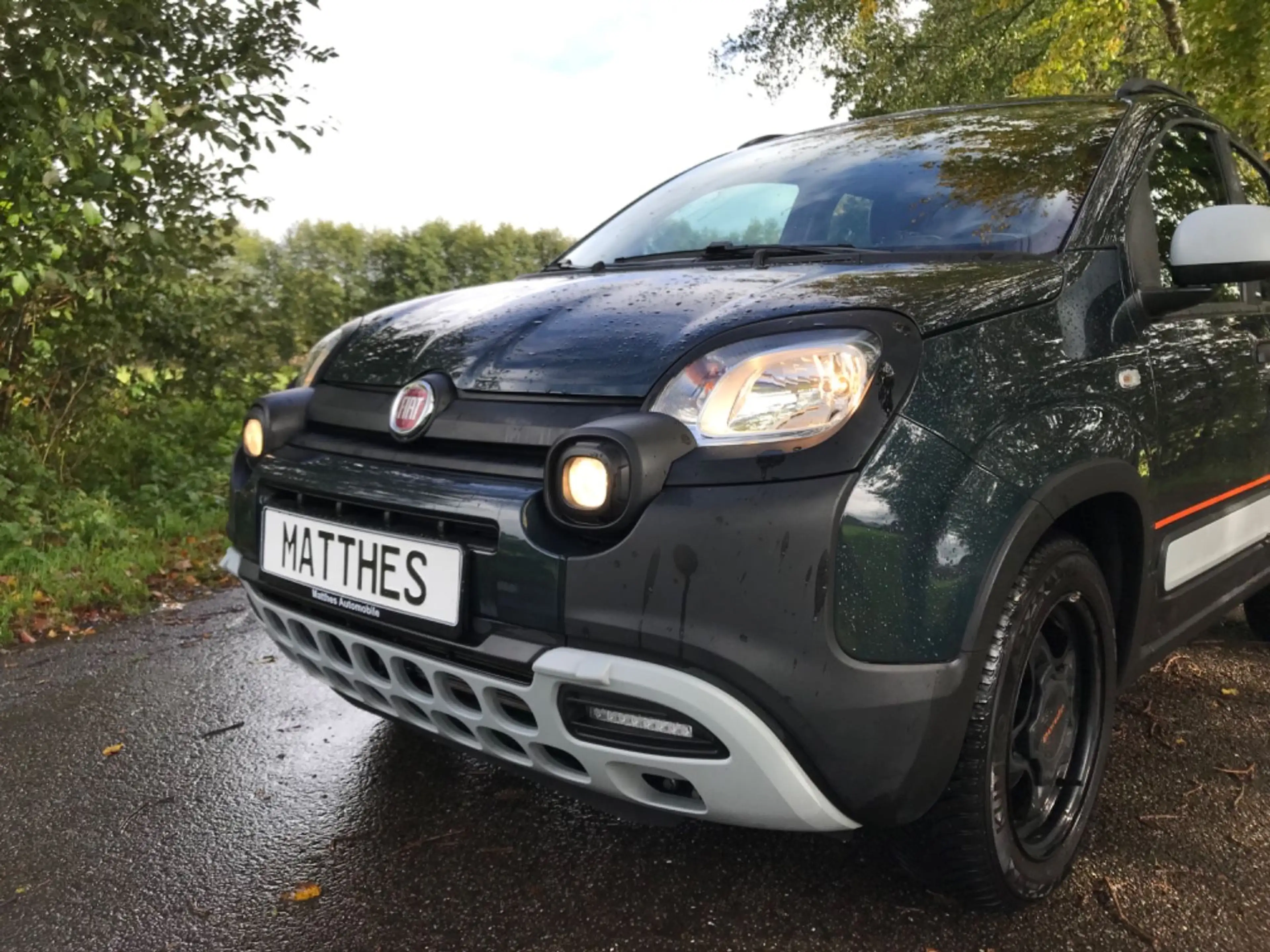 Fiat Panda Cross, Sondermodell Garmin