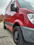 Mercedes-Benz Sprinter 316 CDI Sprinter 906bb35 Rood - thumbnail 5