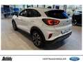 Ford Puma Puma 1.0 EcoBoost MHEV TITANIUM SITZHEIZUNG NAVI Blanc - thumbnail 11