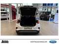 Ford Puma Puma 1.0 EcoBoost MHEV TITANIUM SITZHEIZUNG NAVI Blanc - thumbnail 7