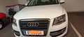Audi Q5 Q5 2,0 TDI quattro DPF Weiß - thumbnail 1