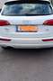 Audi Q5 Q5 2,0 TDI quattro DPF Weiß - thumbnail 4