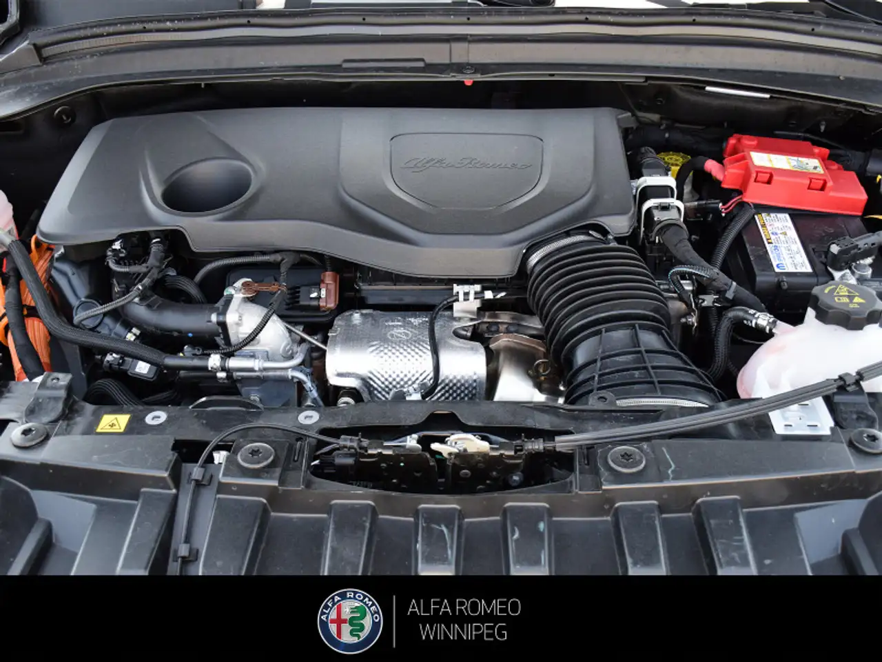 Alfa Romeo Tonale снимка Alfa Romeo Tonale