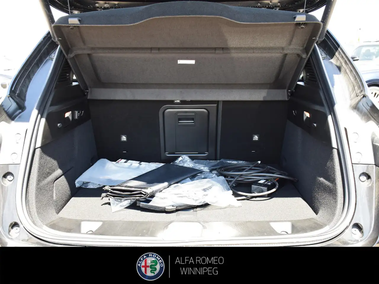 Alfa Romeo Tonale снимка Alfa Romeo Tonale