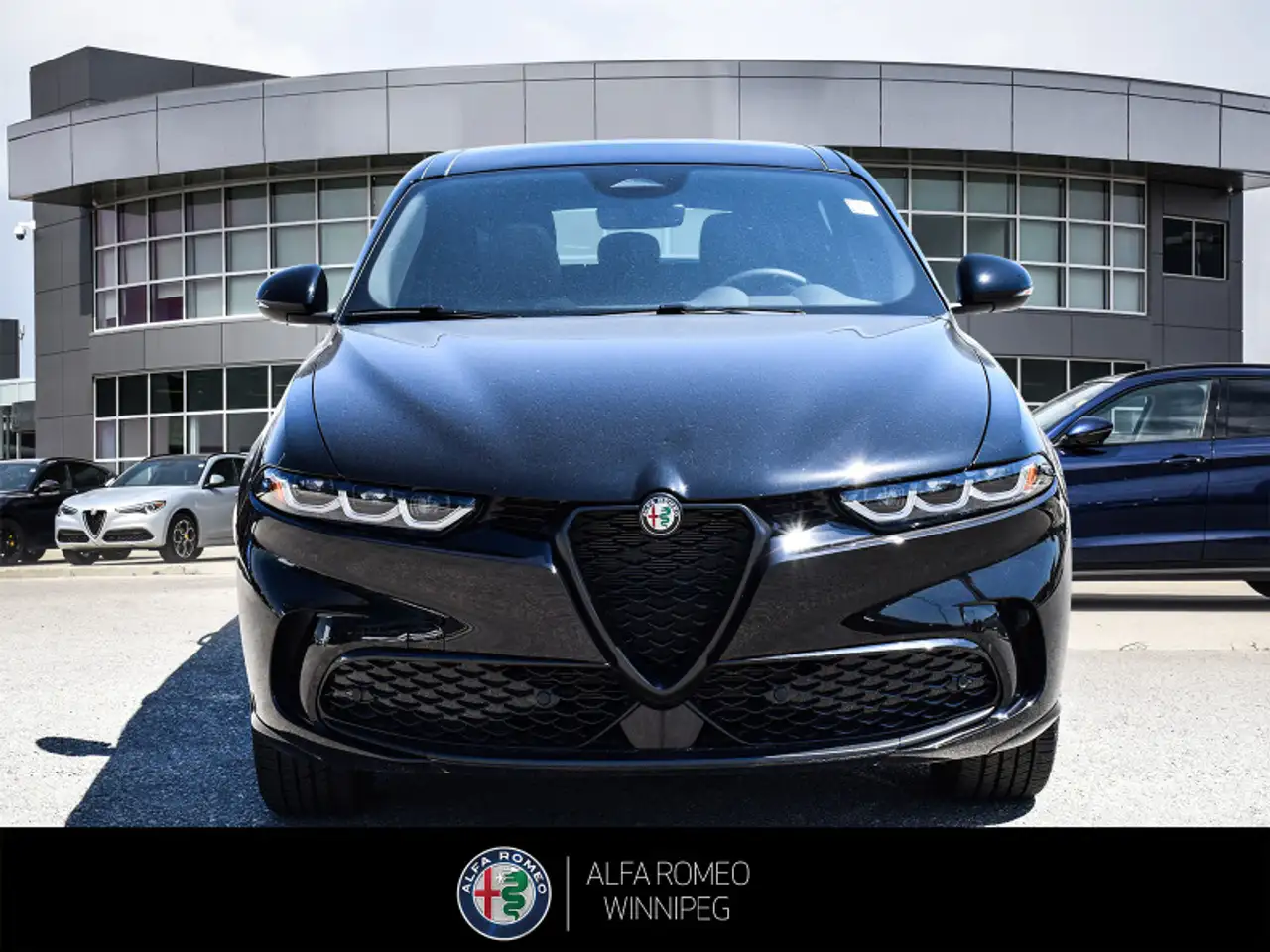 Alfa Romeo Tonale снимка Alfa Romeo Tonale