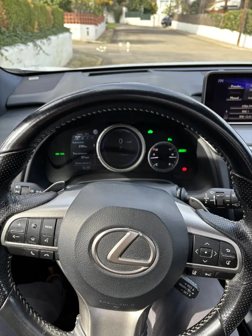 Lexus RX 450h F Sport - 2