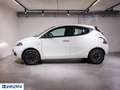 Lancia Ypsilon 1.0 FireFly 5 porte S&S Hybrid Platino - "PREZZO Bianco - thumbnail 5