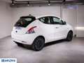 Lancia Ypsilon 1.0 FireFly 5 porte S&S Hybrid Platino - "PREZZO Bianco - thumbnail 7