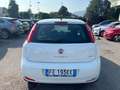 Fiat Punto 5p 1.2 Lounge E6*OK NEOPATENTATI*UNIPROPRIETARIO* Bianco - thumbnail 5