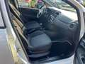 Fiat Punto 5p 1.2 Lounge E6*OK NEOPATENTATI*UNIPROPRIETARIO* Bianco - thumbnail 8