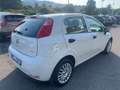 Fiat Punto 5p 1.2 Lounge E6*OK NEOPATENTATI*UNIPROPRIETARIO* Bianco - thumbnail 4