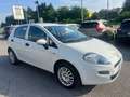Fiat Punto 5p 1.2 Lounge E6*OK NEOPATENTATI*UNIPROPRIETARIO* Bianco - thumbnail 3