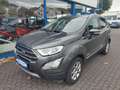 Ford EcoSport Titanium Grau - thumbnail 3
