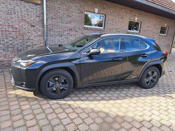 UX 250h Business Edition