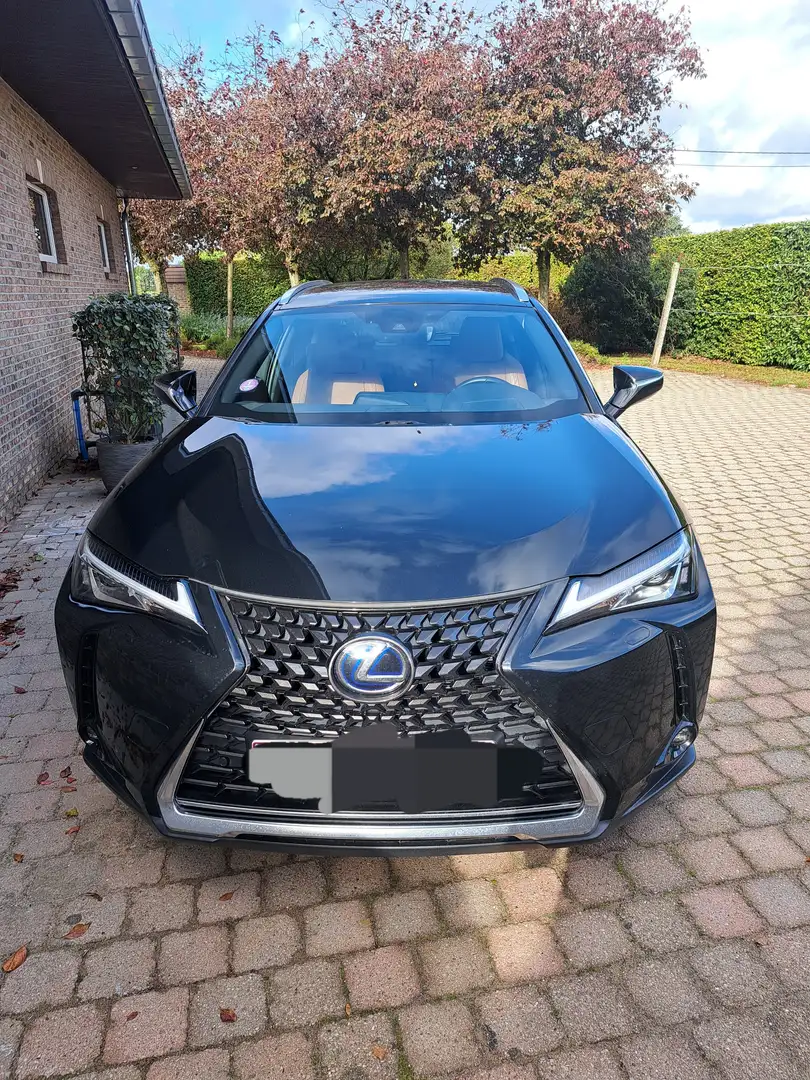 Lexus UX 250h UX 250h Business Edition Zwart - 2