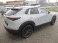 Mazda CX-30 /G140/Nagisa Modell 2025 Grau - thumbnail 6