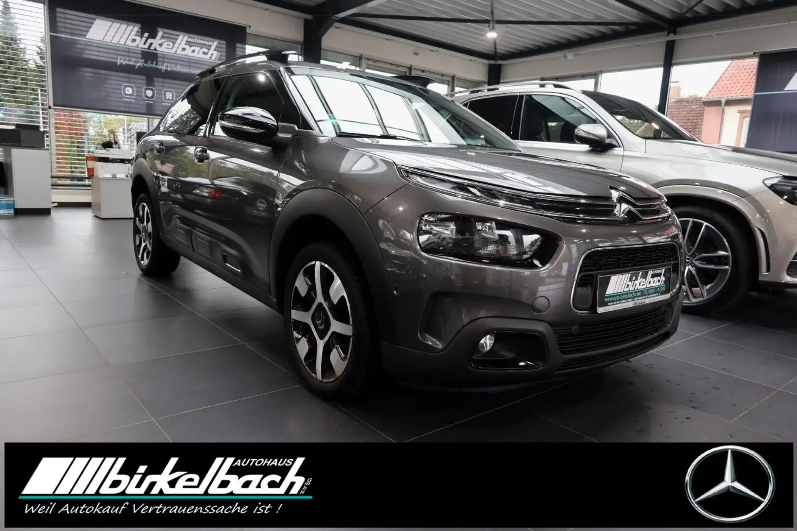 Citroen C4 Cactus Shine Grijs - 2