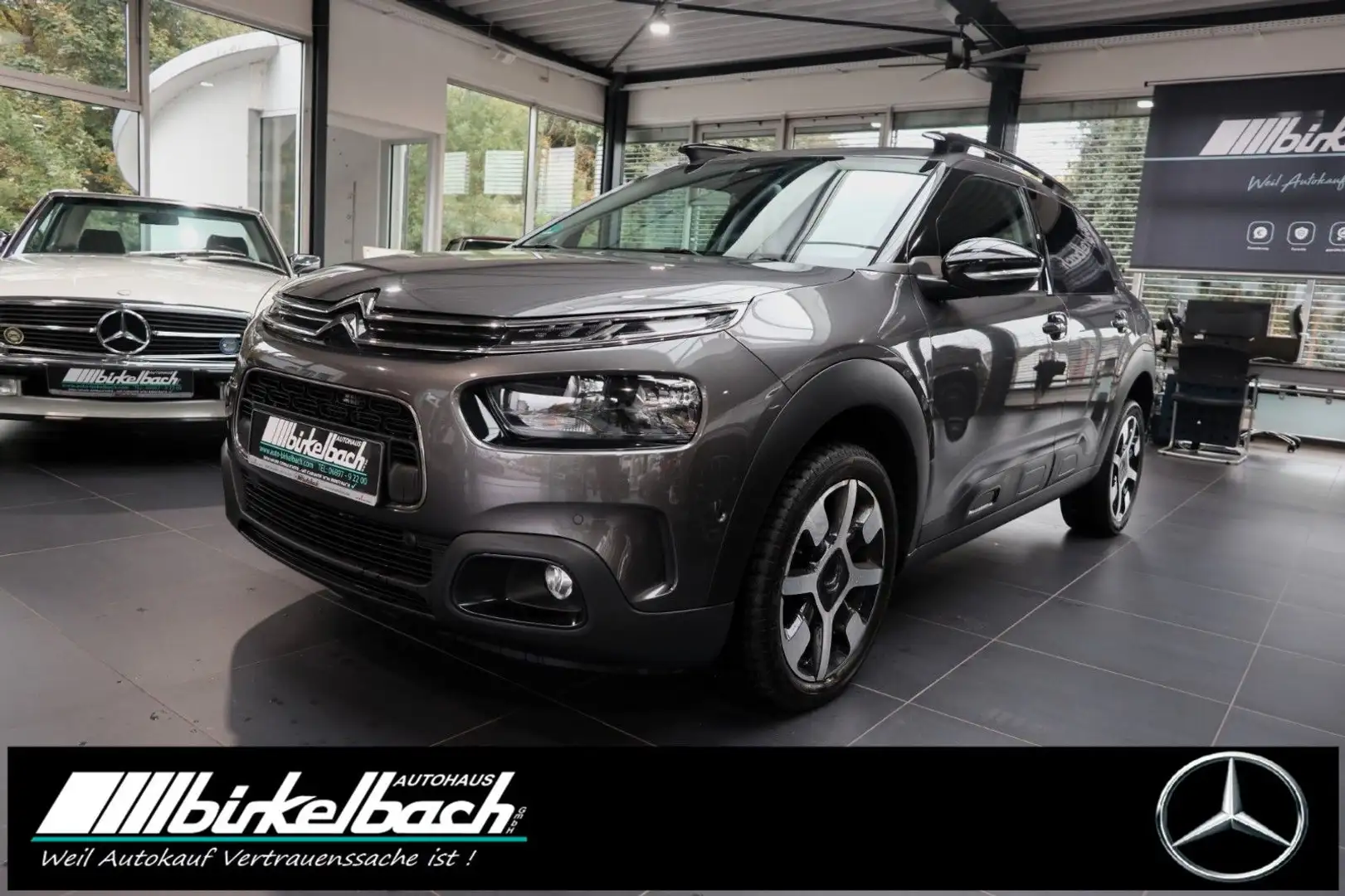 Citroen C4 Cactus Shine Grijs - 1